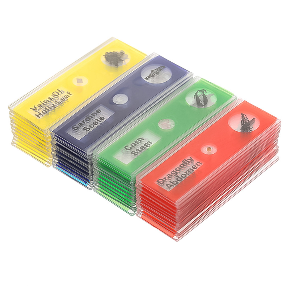 Kids Education Name - 24 Buah Set Slide Mikroskop Biologi
