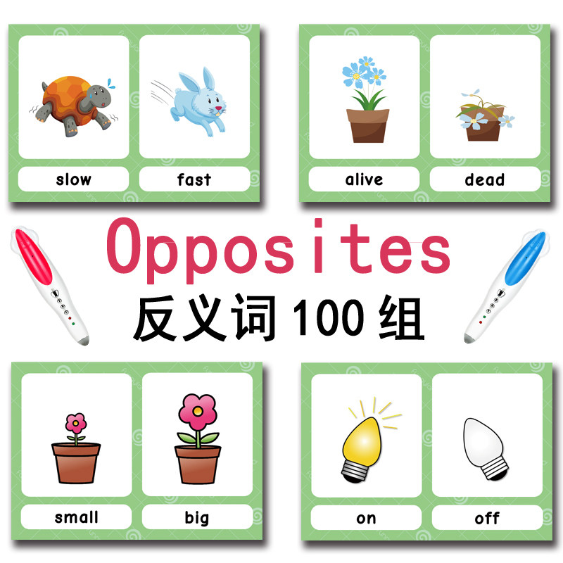 100 Kartu Flashcard Kata Bahas - Kids Education Toy ulasan dan harga