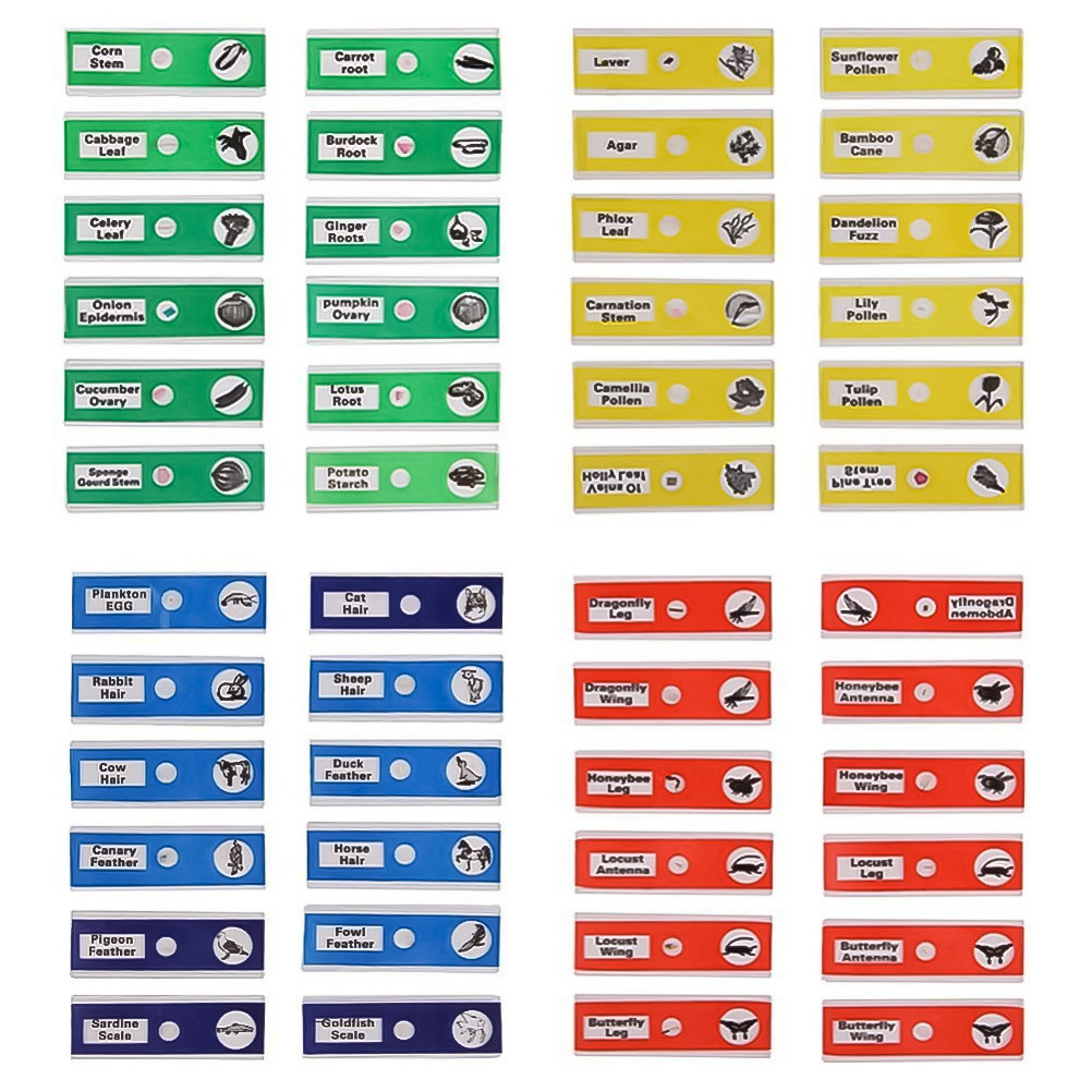 24 Buah Set Slide Mikroskop Bi - Kids Education Name ulasan dan harga