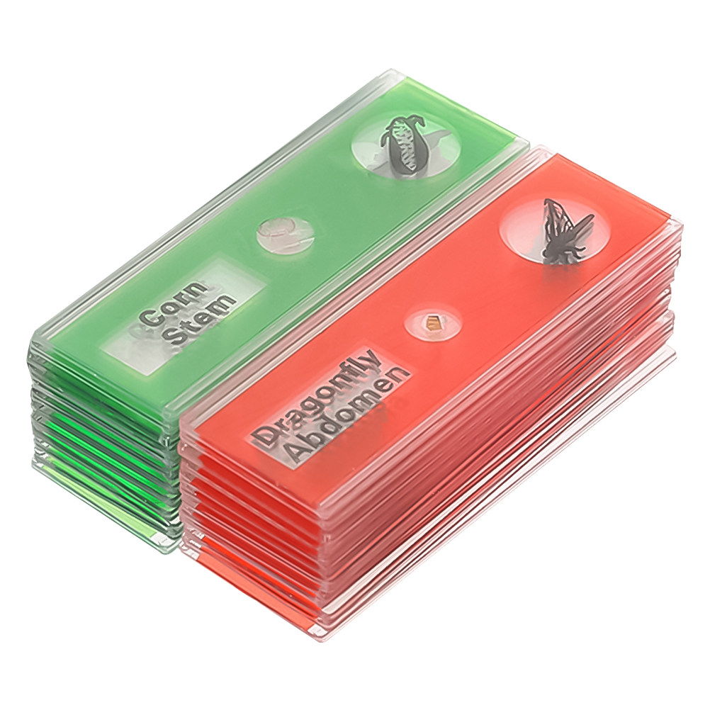 24 Buah Set Slide Mikroskop Bi - Kids Education Name ulasan dan harga